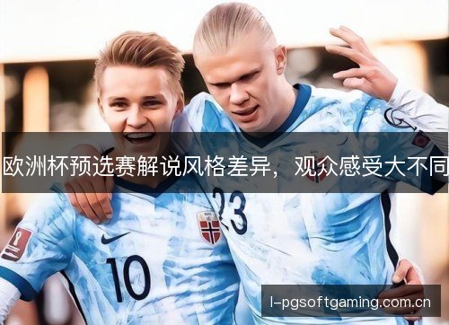 欧洲杯预选赛解说风格差异，观众感受大不同